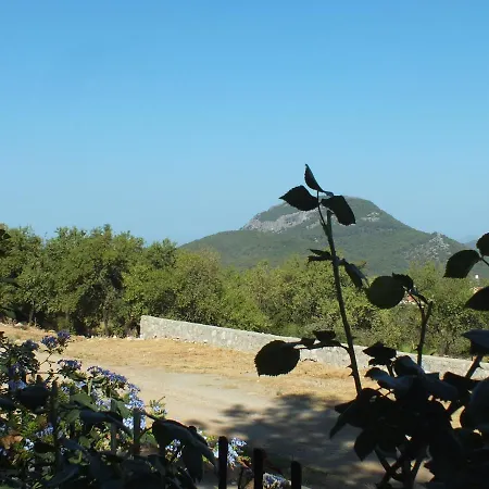 Dream Villa E Oludeniz * 페티예